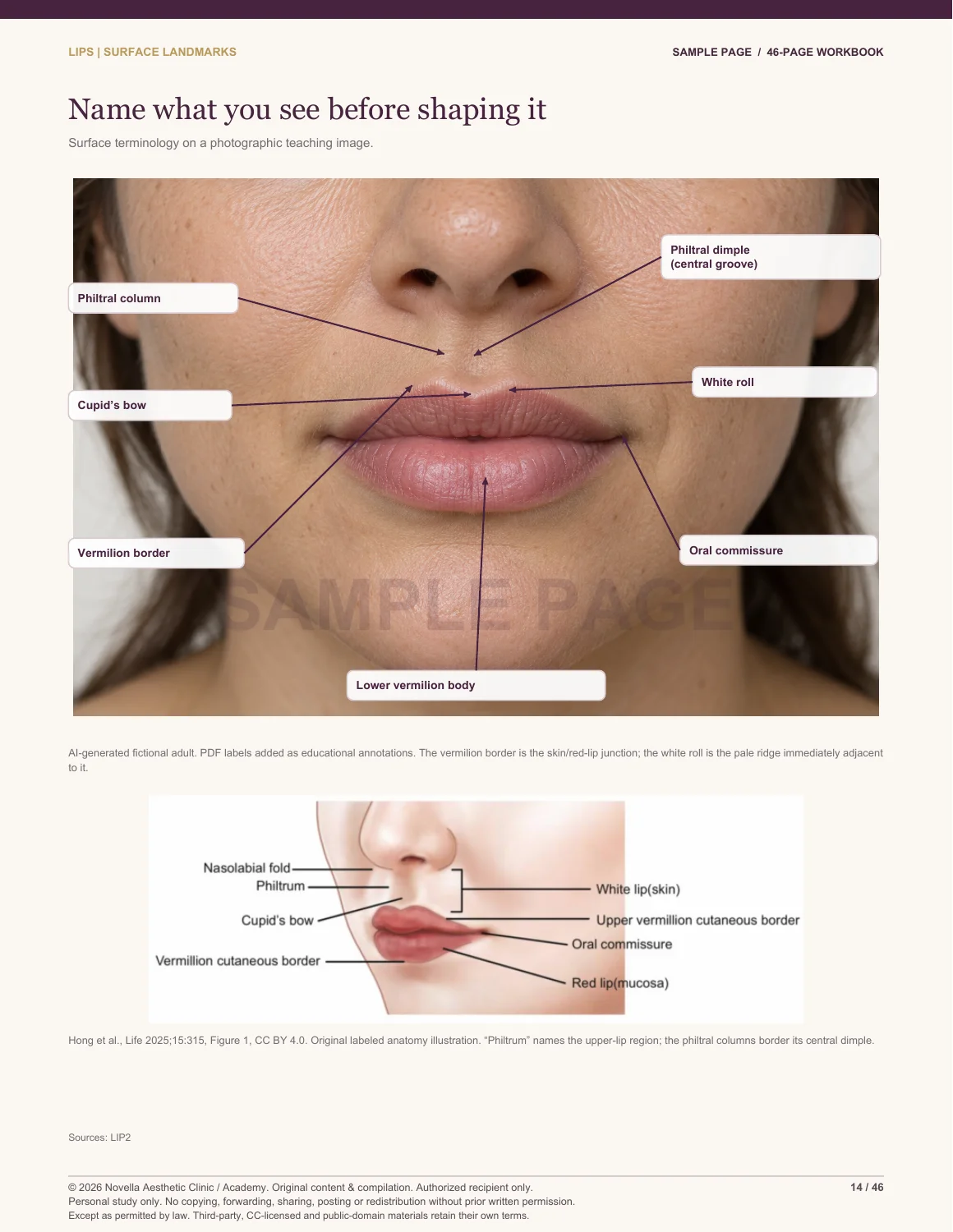 Sample workbook page showing labeled lip surface landmarks and an anatomical illustration