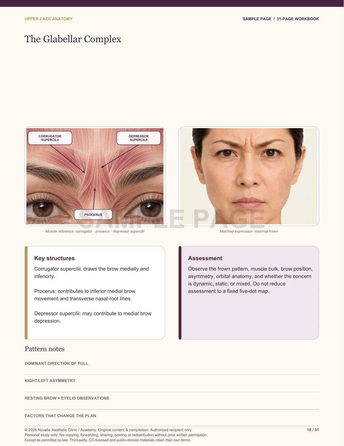 Sample workbook page with labeled glabellar muscles, a frowning teaching subject and assessment exercises